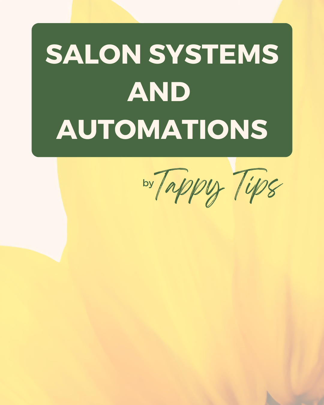 E-book: Salon Systems and Automations